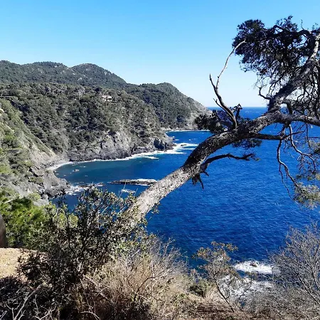 Avec Piscine A 32 M² Vue Apartmán *