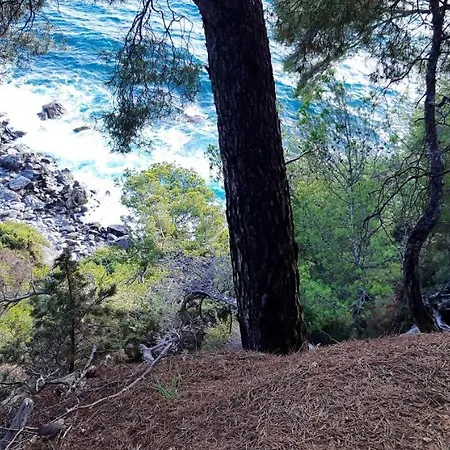 Avec Piscine A 32 M² Vue Six-Fours-les-Plages