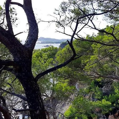 Avec Piscine A 32 M² Vue * Six-Fours-les-Plages