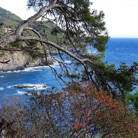 Apartmán Avec Piscine A 32 M² Vue