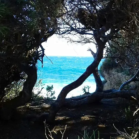 Avec Piscine A 32 M² Vue Six-Fours-les-Plages