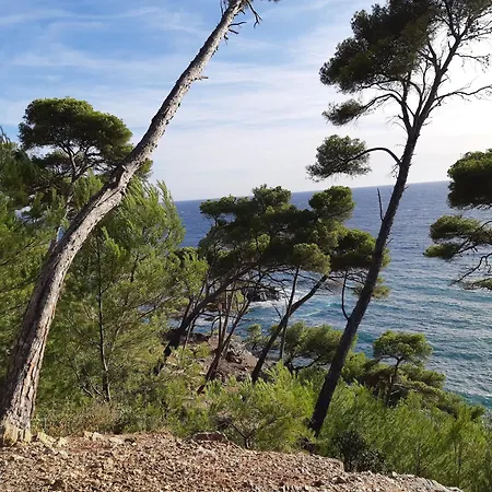Avec Piscine A 32 M² Vue * Six-Fours-les-Plages