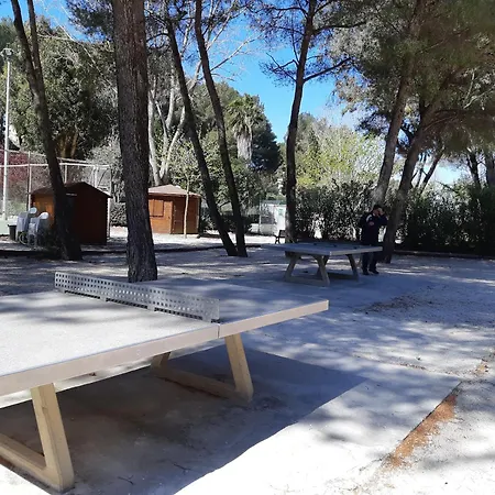 Apartamento Avec Piscine A 32 M² Vue Six-Fours-les-Plages